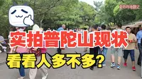 【普陀山景区】实拍普陀山风景区现状，暑期热门旅游目的地，看看这里的人多不多