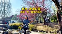 北京有个公园是建筑大师梁思成起的名，现在是京城“龙”最多的公园，春天的龙潭公园美出天际