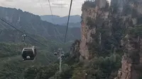 [2022胶粉旅行团]😄: 湖南张家界之旅.Day 4 5A景点张家界森林公园天子山⛰索道🚡（下山）