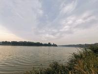 山东潍坊-青州-弥河-野钓四斤大鲤鱼