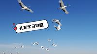 齐齐哈尔扎龙生态旅游区冬日游攻略