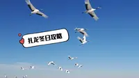 齐齐哈尔扎龙生态旅游区冬日游攻略