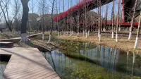 Citywalk之嘉兴西南湖生态公园（空中廊桥）和经典看火车环节