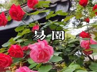 成都易园园林博物馆