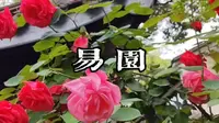 成都易园园林博物馆