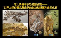 河北承德丰宁恐龙新发现——世界上保存最完整皮肤的剑龙和新属种角龙化石