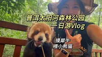 摸犀牛！喂小熊猫！普洱太阳河森林公园太太太推荐了～