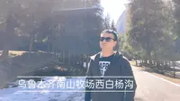 乌鲁木齐南山景区久负盛名的避暑胜地“南山牧场西白杨沟”