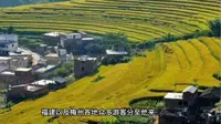 广东梅州坪山3A级景区梯田壮丽