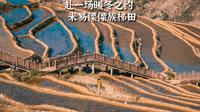 四川也有梯田景观，小众实惠的米易傈僳族梯田，壮观而唯美