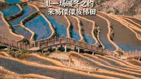 四川也有梯田景观，小众实惠的米易傈僳族梯田，壮观而唯美
