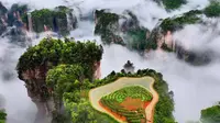 17日下午，张家界国家森林公园天子山景区空中田园一带雨后现壮丽云海奇观，薄薄的云雾缠绕在山峰田园间，如梦如幻，恍若仙境。摄影：孙宏伟