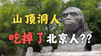 周口店北京猿人，不是我们的祖先？！【周口店北京猿人遗址】