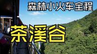 深圳茶溪谷唯一还在开放的项目？森林小火车游玩全程体验！