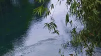 小城古韵之永州小石潭记，柳宗元诚不欺我！