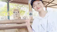 常州淹城野生动物园自驾游