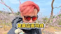 这是一条成都赏春徒步路线，龙泉山画马路线，也是桃花故里官方推出的，一条免费正规徒步路线，马年画马，祝大家马到成功