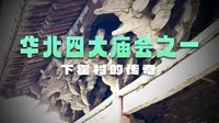 射日的羿到底是后羿还是大羿？而嫦娥的老公又是谁？灵贶王又是谁？