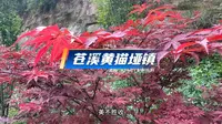 苍溪黄猫垭镇 走完广元142个乡镇(63)