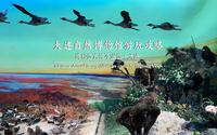 大连自然博物馆游玩攻略，实名预约即可免费入馆参观