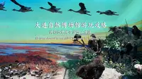 大连自然博物馆游玩攻略，实名预约即可免费入馆参观