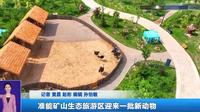 准能矿山生态旅游区迎来一批新动物