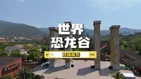 云南楚雄禄丰的恐龙谷你去过了吗？
