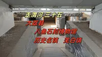 走渭河三十五，大荔八鱼村石刻博物馆，千年古镇，羌白镇
