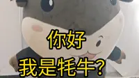 山东傻小子勇闯西藏牦牛博物馆