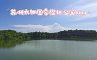 苏州太湖国家湿地公园vlog（有大熊猫）