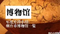 年度片段：烟台市博物馆~