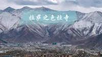 一个人花了两个多小时爬上色拉寺的后山看整个拉萨。值得啊！