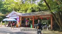 呀诺达雨林文化旅游区