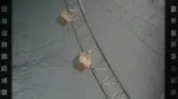 太和县环球嘉年华