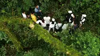 跟着百色学院学生，进入广西岑王老山国家级自然保护区