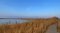 艾丁湖景区别样风景