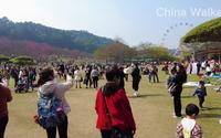 南宁石门森林公园，地址：广西壮族自治区南宁市青秀区民族大道118号，门票：免费
