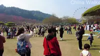 南宁石门森林公园，地址：广西壮族自治区南宁市青秀区民族大道118号，门票：免费