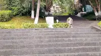 四川4A景区南龛山风景区南龛石窟景区徒步讲解打卡巴中南龛景区