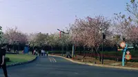 惠州——千花洲