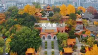 徐州户部山戏马台的秋色绝景