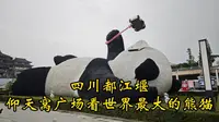 四川都江堰，仰天窝广场看世界最大的熊猫