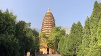 实拍登封嵩岳寺塔，花40元走45分钟看郑州地标大玉米的原型