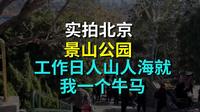 实拍北京景山公园，工作日人山人海，就我一个牛马