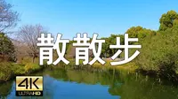 上海閔行體育公園 Minhang Sports Park, 4K