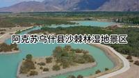 阿克苏乌什县沙棘林湿地景区