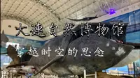 大連自然博物馆 穿越时空的思念