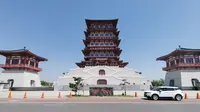 在洛阳牡丹阁景区没拍到牡丹花，拍到了雄伟壮观的牡丹阁，也不错