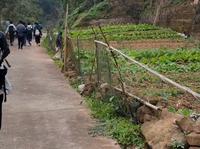 邛崃竹溪湖徒步