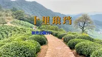 杭州十里琅珰完整行程，后附攻略
